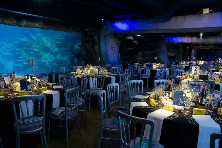 Birthday Venues in London Sea Life London Aquarium, Venueseeker