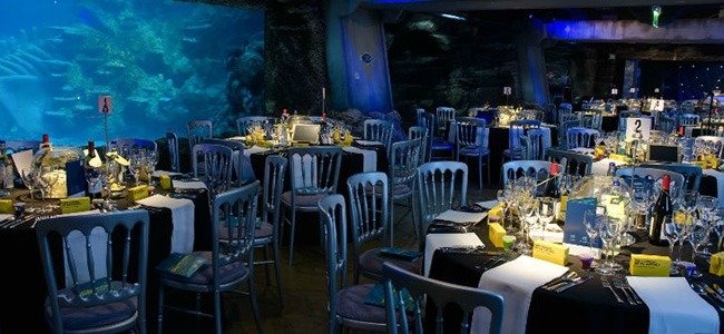 SEA LIFE London Aquarium 