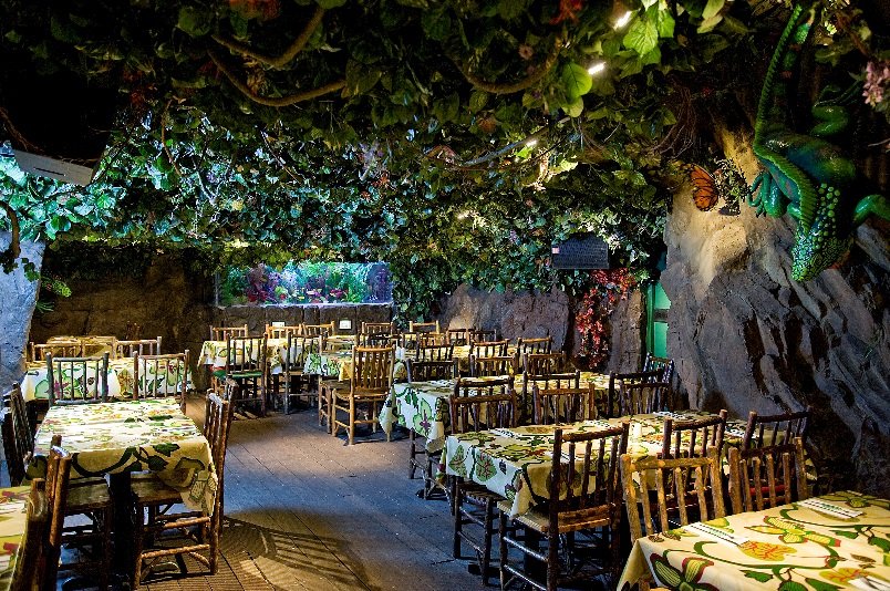 Rainforest Cafe - pub quiz londres