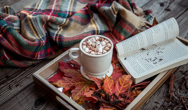 blanket cocoa and a book